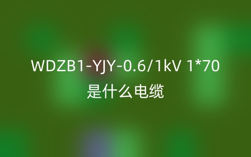 WDZB1-YJY-0.6/1kV 1*70是什么電纜？(圖1)