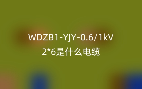 WDZB1-YJY-0.6/1kV 2*6是什么電纜？(圖1)