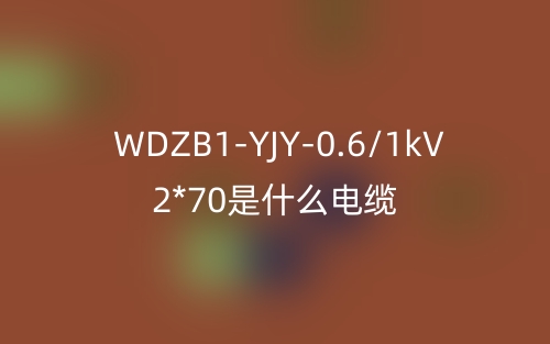 WDZB1-YJY-0.6/1kV 2*70是什么電纜？(圖1)