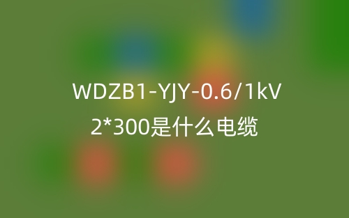 WDZB1-YJY-0.6/1kV 2*300是什么電纜？(圖1)