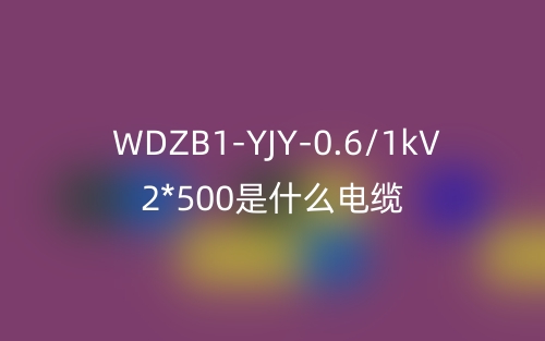 WDZB1-YJY-0.6/1kV 2*500是什么電纜？(圖1)