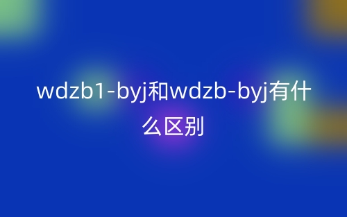 wdzb1-byj和wdzb-byj有什么區(qū)別？(圖1)