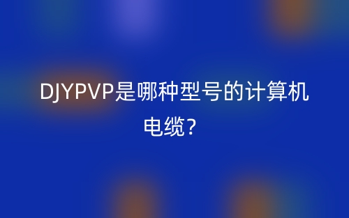 DJYPVP是哪種型號(hào)的計(jì)算機(jī)電纜？(圖1)